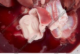 Photo Textures of Beef Viscera